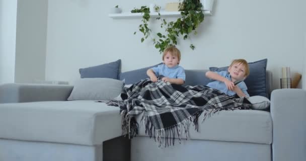 Dwóch chłopców, 2 do 4 lat, oglądania Tv, siedząc na kanapie. Ekscytujące Tv show. Zobacz filmy animowane — Wideo stockowe