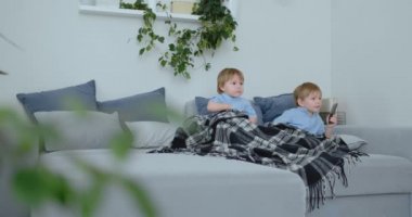 İki erkek, 4 ve 2 yaşında, kanepede oturup televizyon izliyorlar. Heyecan verici bir Tv programı. Çizgi film görüntüleyin. Çocuk heyecan verici bir Tv şovu izle.