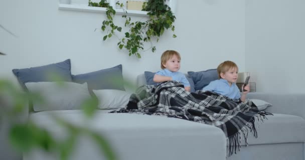 Два мальчика, 4 и 2 года, смотрят телевизор, сидящий на диване. Захватывающее телешоу. Посмотреть мультфильмы. Дети смотрят захватывающее ТВ-шоу . — стоковое видео