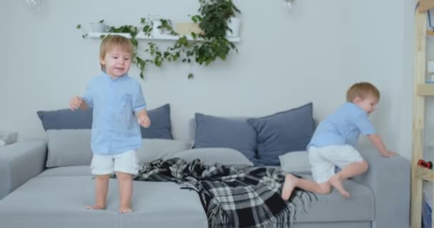 Два маленьких мальчика прыгают на диване и веселятся — стоковое видео