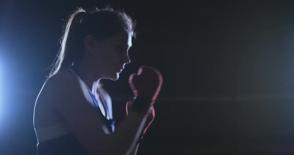 Boxer žena v červené obvazy na rukou a modré tričko vede boj s praktikování rychlost a techniku údery rukou. Fotoaparát hnutí boční pohled. Steadicam shot — Stock video