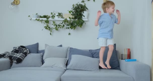 Un bambino di 4 anni con i capelli bianchi e una camicia blu salta e sorride sul divano. Divertimento e bambino a casa. Scherzo e coccole — Video Stock