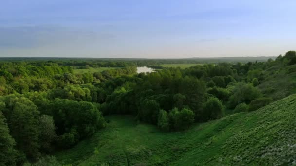 Вид з повітря на зелений літній ліс і каньйон на заході сонця — стокове відео