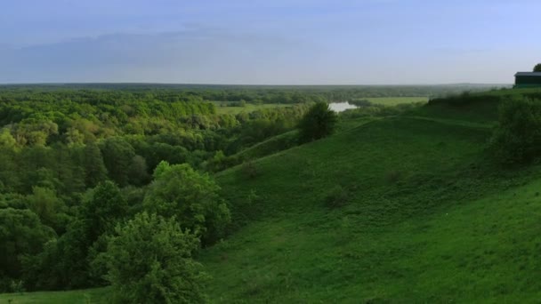 Вид с воздуха на зеленый летний лес и каньон на закате — стоковое видео