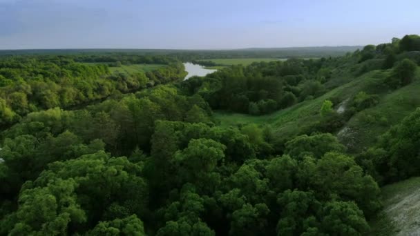 Veduta aerea della verde foresta estiva e canyon al tramonto — Video Stock