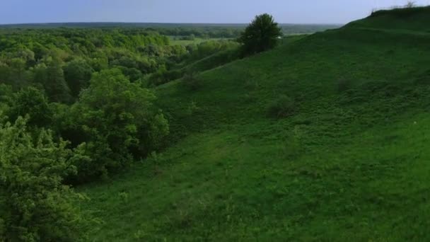 Widok z lotu ptaka zielonego letniego lasu i Kanionu o zachodzie słońca — Wideo stockowe