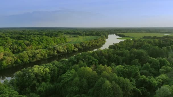 Veduta aerea di un bellissimo paesaggio fluviale in una foresta verde al tramonto — Video Stock