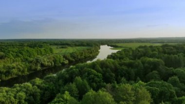 Gün batımında yeşil bir ormanda güzel bir nehir manzara havadan görünümü