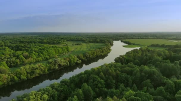 Vista aérea de un hermoso paisaje fluvial en un bosque verde al atardecer — Vídeos de Stock