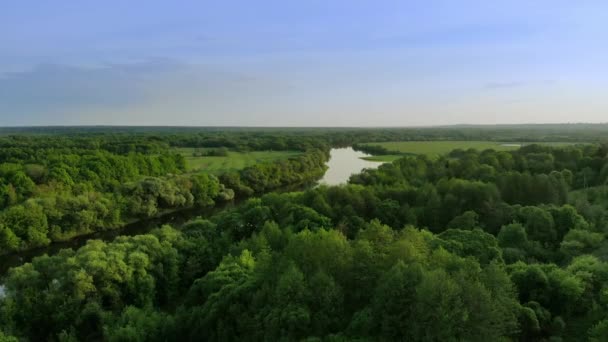 Aerial view of a beautiful river landscape in a green forest at sunset — Stock Video