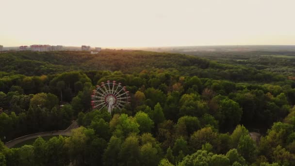 Aéreo ao amanhecer colinas verdes com árvores e grama — Vídeo de Stock