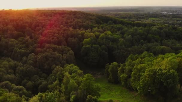 Aerea all'alba verdi colline con alberi ed erba — Video Stock