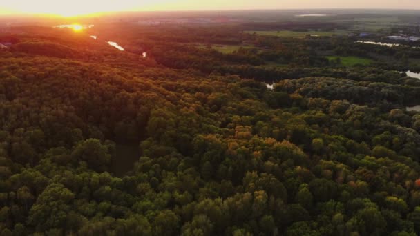 Aerea all'alba verdi colline con alberi ed erba — Video Stock