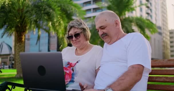 Couple aîné utilisant un ordinateur portable assis sur une chaise dans le parc — Video