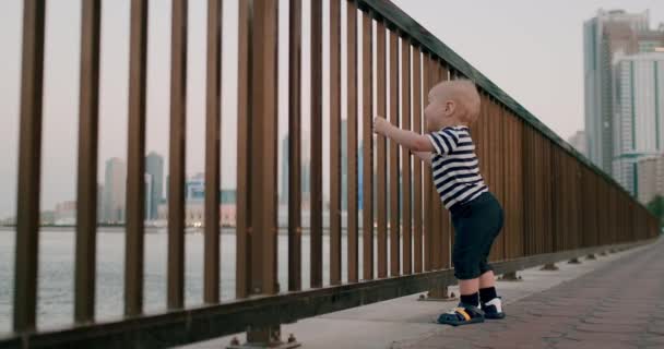 Baby söt Dans håller händerna på räcket på vattnet i bakgrunden av staden — Stockvideo