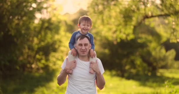 Gün batımında yaz tarlasında yürürken babasının boynunda oturan bir çocuk — Stok video