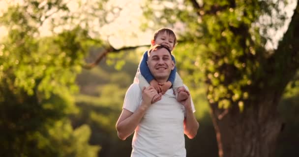 Un niño sentado en el cuello de su padre mientras camina en el campo de verano al atardecer — Vídeo de stock