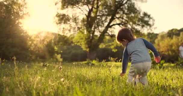 Garçon debout avec un ballon de football en été courir sur le terrain avec vue arrière herbe .