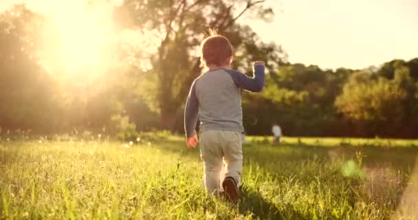 Niño de pie con una pelota de fútbol en el verano corriendo en el campo con vista trasera de hierba . — Vídeo de stock