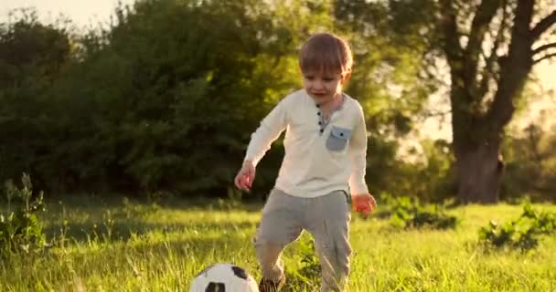 夏のフィールドで日没時に走るサッカーボールで走る幸せな少年 — ストック動画