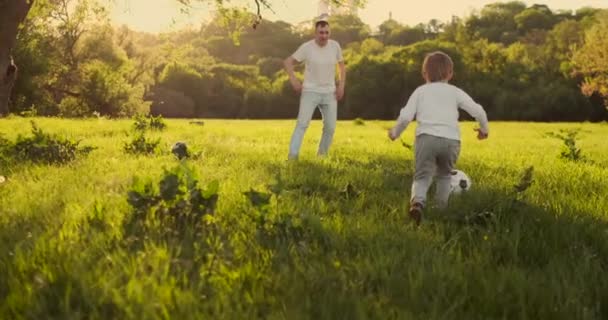 Padre con dos hijos jugando al fútbol en el prado — Vídeo de stock