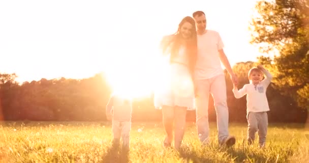 Счастливая семья их мужчина с двумя детьми, гуляющих по полю на закате солнца при солнечном свете летом в теплую погоду — стоковое видео