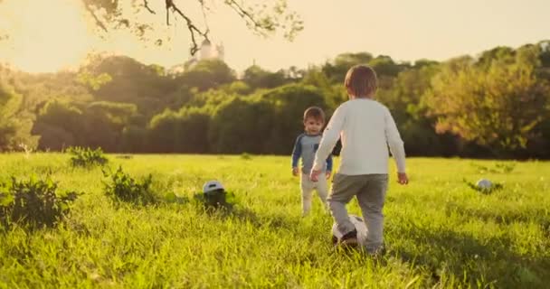 Dos lindos niños pequeños, jugando fútbol juntos, en verano. Niños jugando al fútbol al aire libre . — Vídeo de stock