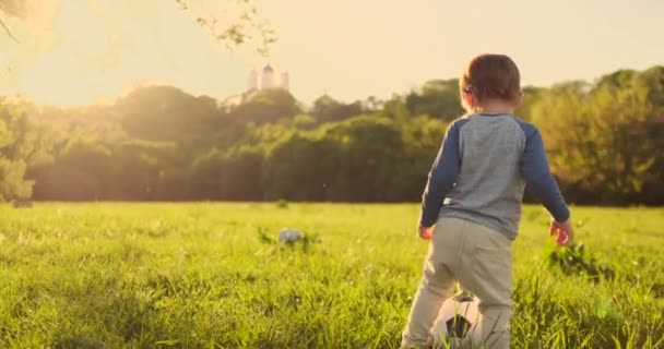 Dos lindos niños pequeños, jugando fútbol juntos, en verano. Niños jugando al fútbol al aire libre . — Vídeo de stock