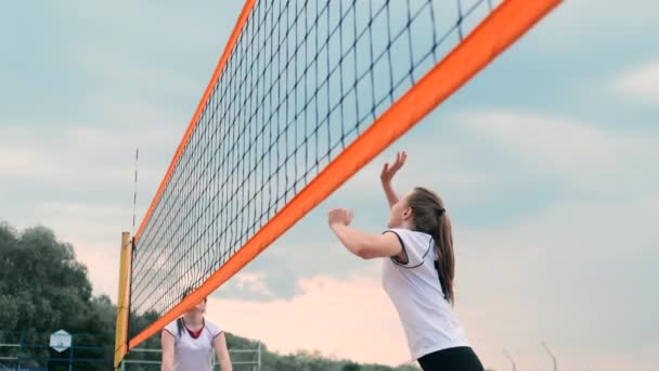 Quattro ragazze che giocano a pallavolo sulla spiaggia. Beach volley, rete, donne in bikini. Illustrazione del fumetto piatto. Inizia il gioco, la ragazza che tiene la palla — Video Stock