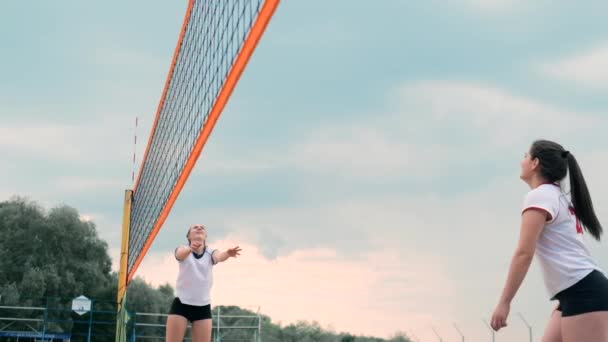 Fyra flickor som spelar volleyboll på stranden. Beachvolleyboll, netto, kvinnor i bikini. Platt tecknad illustration. Starta spelet, flickan som håller bollen — Stockvideo