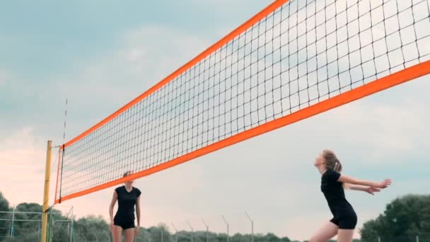 Quatro raparigas a jogar voleibol na praia. Voleibol de praia, rede, mulheres de biquínis. Desenho animado plano ilustração. Comece o jogo, a menina segurando a bola — Vídeo de Stock