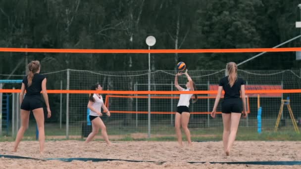 Czterech dziewczyn siatkówki graczy grać na plaży w lecie uczestniczących w turnieju w zwolnionym tempie na piasku. — Wideo stockowe