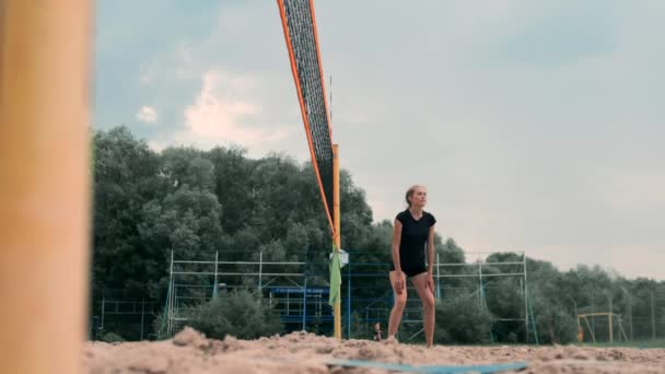 Vier Mädchen beim Volleyball am Strand. Beachvolleyball, Netz, Frauen im Bikini. flache Cartoon-Illustration. Das Spiel beginnt, das Mädchen hält den Ball — Stockvideo