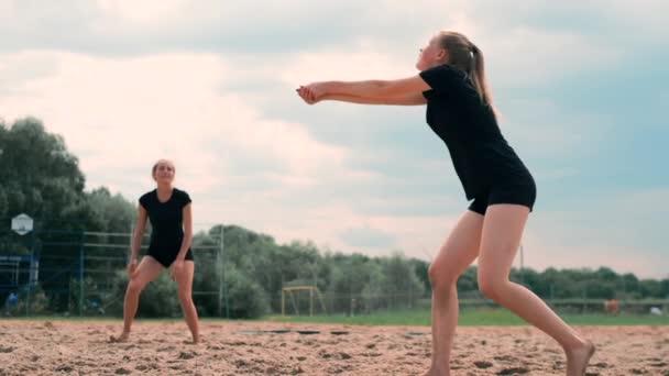 Quattro ragazze che giocano a pallavolo sulla spiaggia. Beach volley, rete, donne in bikini. Illustrazione del fumetto piatto. Inizia il gioco, la ragazza che tiene la palla — Video Stock