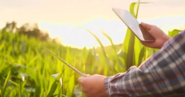 Tarım alanında dijital tablet kullanan kafkas genç kadının yakın çekim