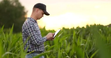 Tarımsal üretim planlama ve hazırlık modern teknoloji kullanan günbatımı, ciddi kendine güvenen adam çıplak boş alanında tablet bilgisayar ile çiftçi ziraat mühendisi.