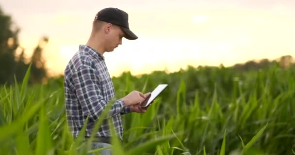 Primer plano de la hembra joven caucásica usando tableta digital en el campo agrícola — Vídeo de stock