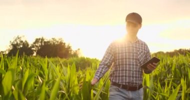 Tarım alanında dijital tablet kullanan kafkas genç kadının yakın çekim