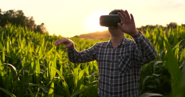 现代农民在Vr头盔控制玉米作物站在阳光下的日落在田里 — 图库视频影像