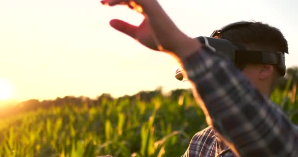 Moderne boer in vr helm regelt maïs gewas staande in veld bij zonsondergang in zonlicht — Stockvideo