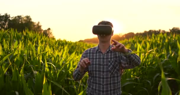 Framtida jordbrukare använder VR glasögon för att hantera majs odlingar och kontrollera kvaliteten på växter vid solnedgången i fältet — Stockvideo