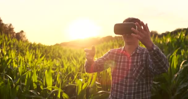 Agricultura inteligente com IoT, conceito de agricultura futurista: Farmer usa óculos VR ou AR enquanto monitora a precipitação, temeprature, umidade, pH do solo com experiência imersiva na tela holográfica digital — Vídeo de Stock