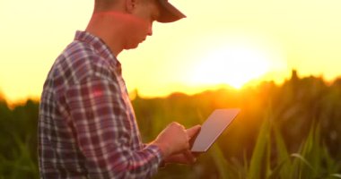 Lens parlama: Çiftçi ekili soya bitkileri alanında dijital tablet bilgisayar kullanarak, tarımsal büyüme faaliyetinde modern teknoloji uygulaması.