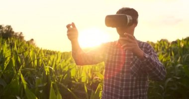 Gelecekteki çiftçi mısır tarlaları yönetmek ve alanında gün batımında bitkilerin kalitesini kontrol vr gözlük kullanır