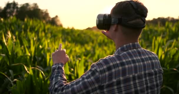 Moderne boer in vr helm regelt maïs gewas staande in veld bij zonsondergang in zonlicht — Stockvideo