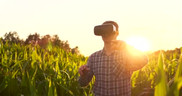 Agriculture intelligente avec IoT, concept d'agriculture futuriste : l'agriculteur porte des lunettes VR ou AR tout en surveillant les précipitations, la température, l'humidité, le pH du sol avec une expérience immersive sur écran holographique numérique — Video