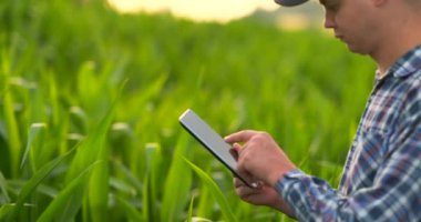Çiftçi dijital tablet bilgisayar kullanarak, arka planda mısır ekimi ekili. Tarımsal büyüme faaliyet anlayışında modern teknoloji uygulaması.