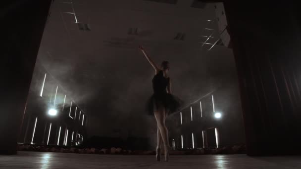 Gros plan Plan des jambes de ballerines. Elle danse sur ses chaussures de ballet Pointe. Shes portant une robe Tutu noire. Tourné dans un studio lumineux et ensoleillé. Au ralenti — Video