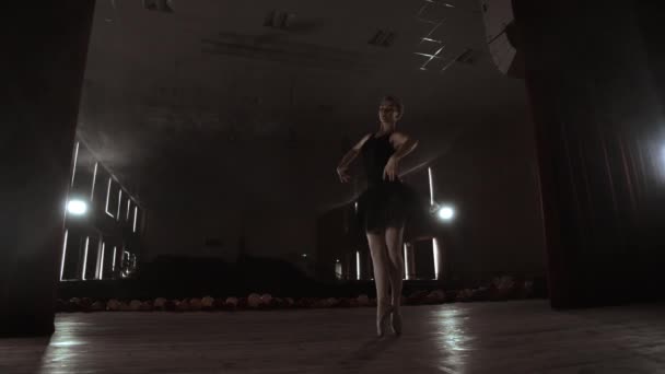 Медленное движение. Неузнаваемая красивая балерина, выступающая на сцене темного дыма. Блондинка с черными волосами. Балетное платье танцует руками . — стоковое видео