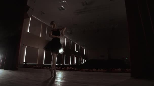 Молодая профессиональная балерина делает круговые движения на сцене. Красивая девушка танцует в прожекторах вечером во время генеральной репетиции — стоковое видео